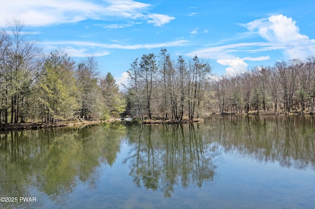 105 Tupelo Dr, Lords Valley, PA 18428 - water view featuring a forest