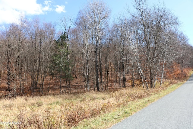 0 Rose Hill Rd, Lake Como, PA 18437 - photo 2