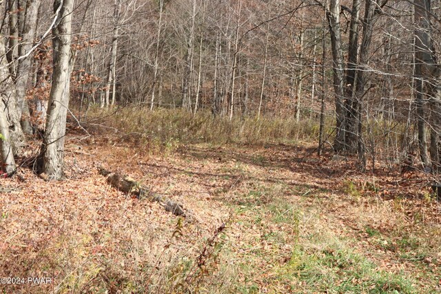 0 Rose Hill Rd, Lake Como, PA 18437