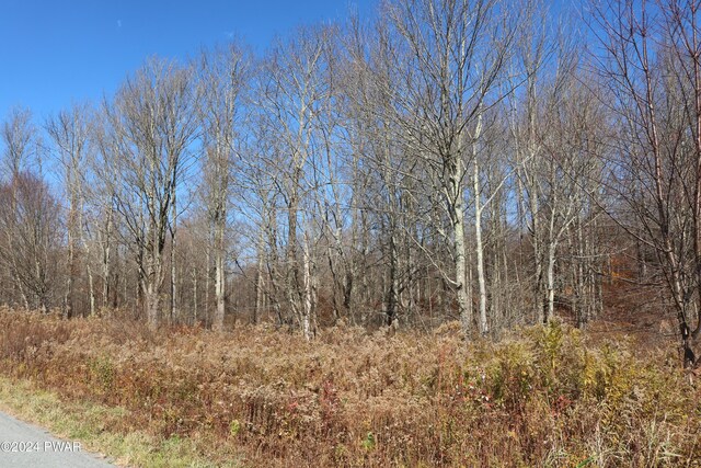 0 Rose Hill Rd, Lake Como, PA 18437