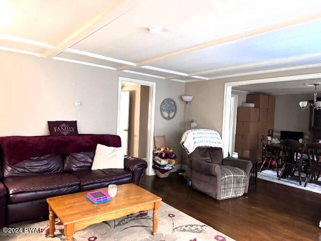 living room with dark hardwood / wood-style flooring and an inviting chandelier