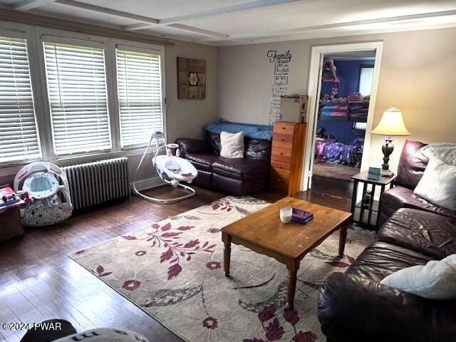 living room featuring hardwood / wood-style flooring and radiator