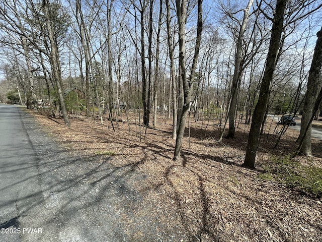 LOT41 Fox Ct, Dingmans Ferry, PA 18328