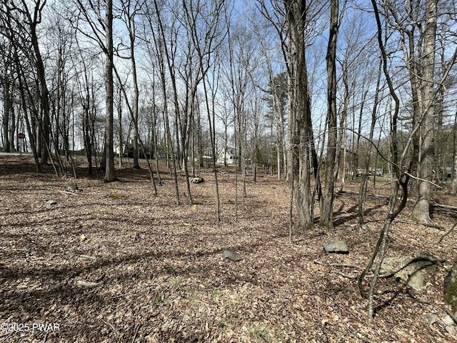 LOT41 Fox Ct, Dingmans Ferry, PA 18328