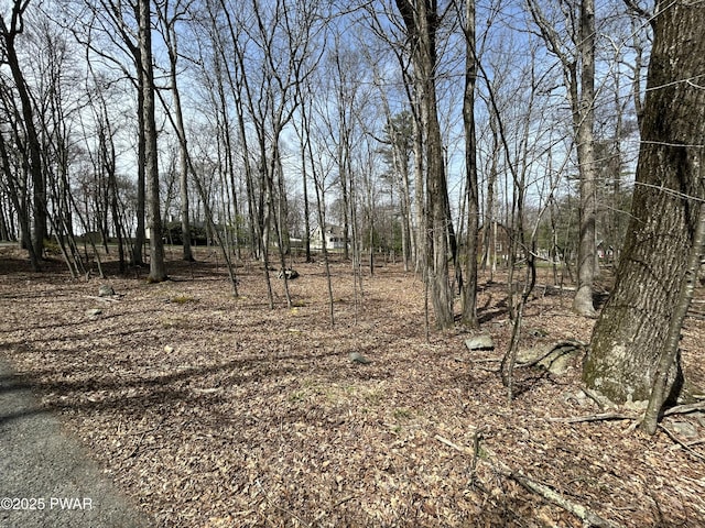 LOT41 Fox Ct, Dingmans Ferry, PA 18328