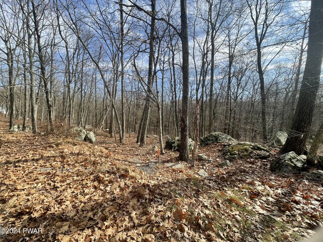 Morgan Ct, Lords Valley, PA 18428