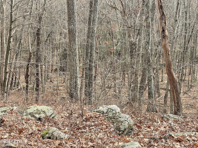 Morgan Ct, Lords Valley, PA 18428