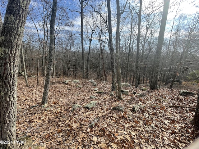 Morgan Ct, Lords Valley, PA 18428