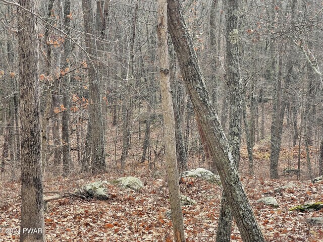 Morgan Ct, Lords Valley, PA 18428