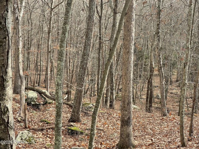 Morgan Ct, Lords Valley, PA 18428
