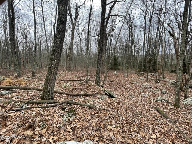 Morgan Ct, Lords Valley, PA 18428