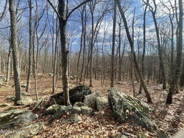 Morgan Ct, Lords Valley, PA 18428