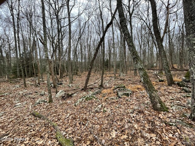 Morgan Ct, Lords Valley, PA 18428