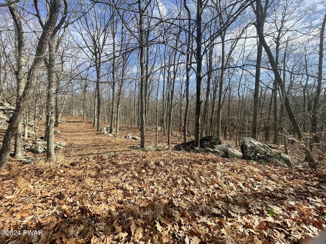 Morgan Ct, Lords Valley, PA 18428