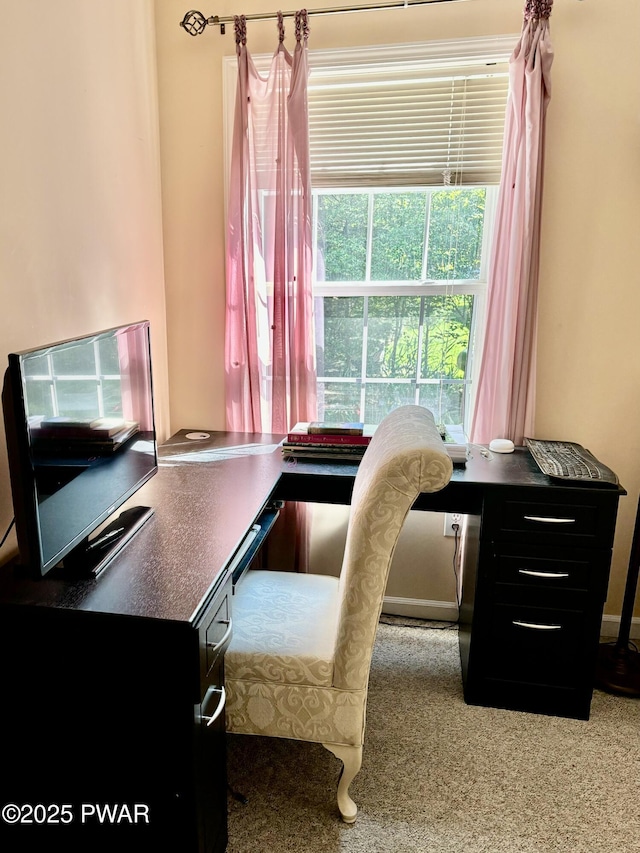 104 Hedge Dr, Dingmans Ferry, PA 18328 - photo 30