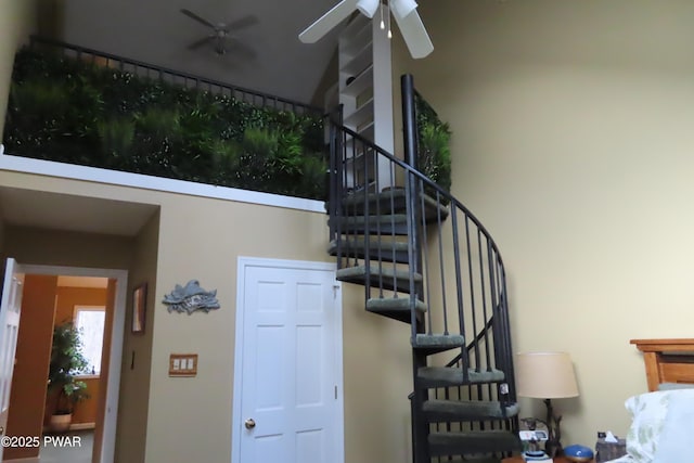 stairs with ceiling fan