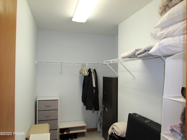 169 N Lake Dr, Dingmans Ferry, PA 18328 - view of spacious closet