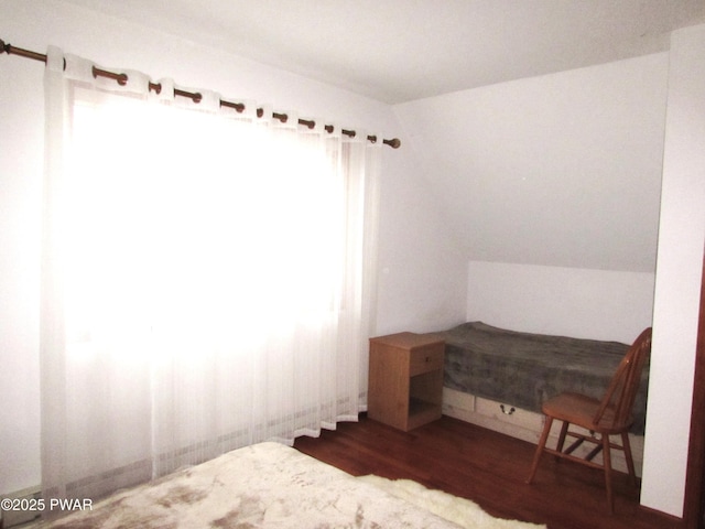 169 N Lake Dr, Dingmans Ferry, PA 18328 - bedroom featuring wood finished floors and vaulted ceiling