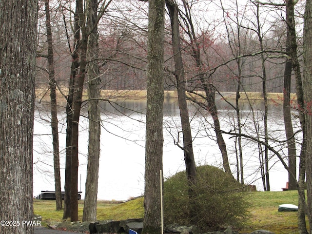 169 N Lake Dr, Dingmans Ferry, PA 18328 - view of water feature