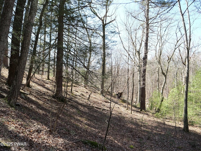 109 Luftus Ln, Dingmans Ferry, PA 18328