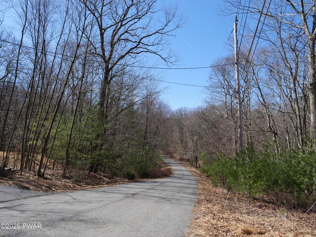 109 Luftus Ln, Dingmans Ferry, PA 18328