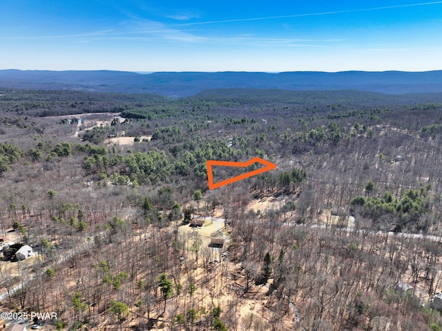 109 Luftus Ln, Dingmans Ferry, PA 18328