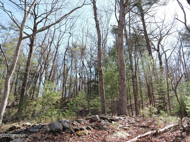 109 Luftus Ln, Dingmans Ferry, PA 18328