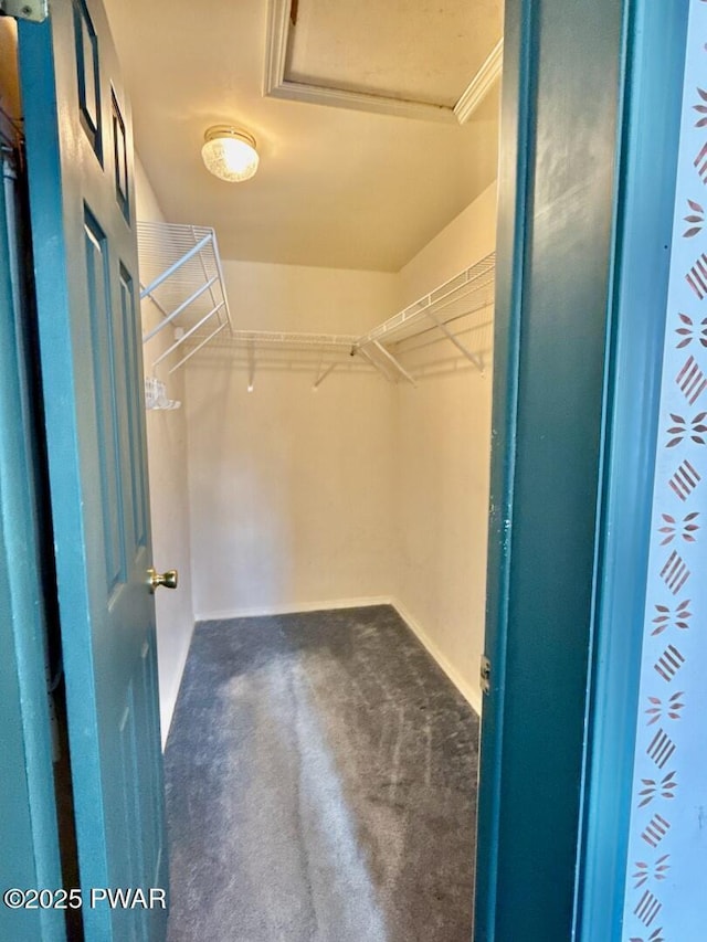 spacious closet featuring dark colored carpet