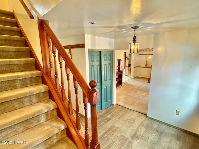 staircase with hardwood / wood-style flooring