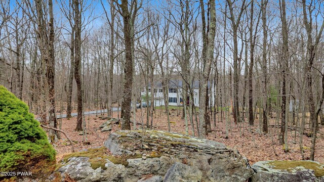 119 Aspen Dr, Milford, PA 18337 - photo 47