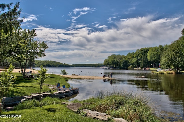 water view with a heavily wooded area