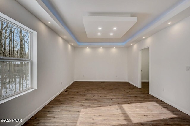 spare room with plenty of natural light, a raised ceiling, and wood-type flooring