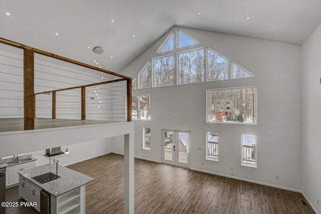 unfurnished living room featuring dark hardwood / wood-style flooring and high vaulted ceiling