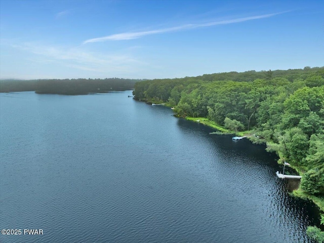 210 Fawn Lake Dr, Hawley, PA 18428 - water view featuring a forest