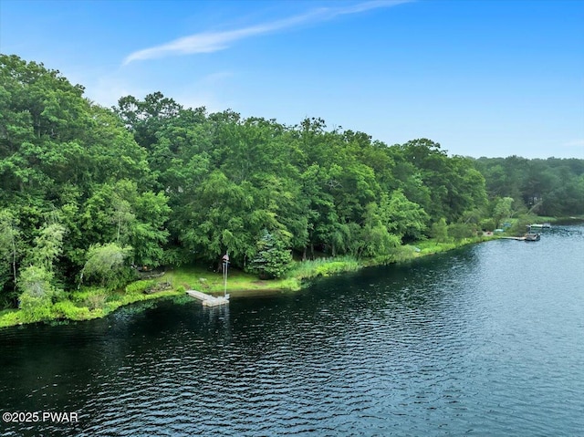 210 Fawn Lake Dr, Hawley, PA 18428 - water view with a heavily wooded area