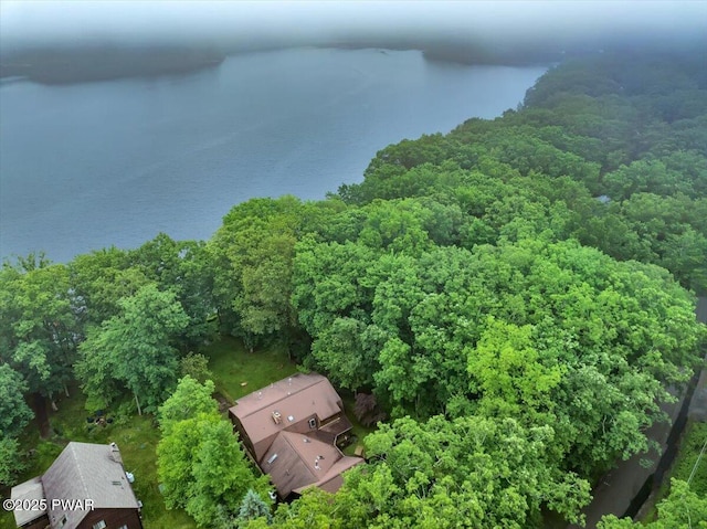 210 Fawn Lake Dr, Hawley, PA 18428 - aerial view of a forest