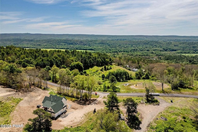 8 Matthews Dr, Milford, PA 18337 - view of subject property with a forest