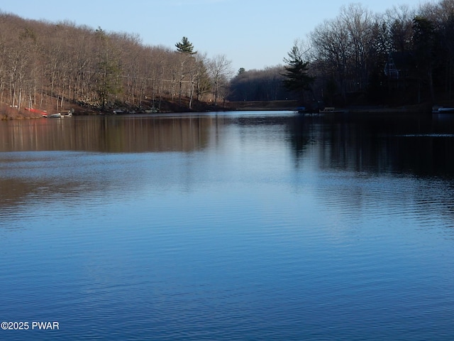 259 Florence Trl, Hawley, PA 18428 - water view with a heavily wooded area