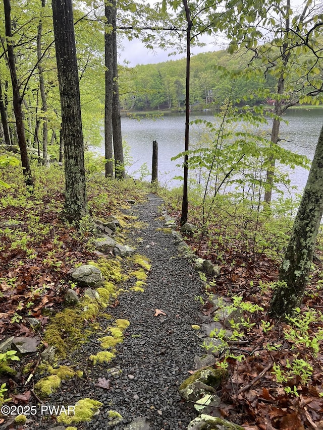 259 Florence Trl, Hawley, PA 18428 - water view featuring a heavily wooded area