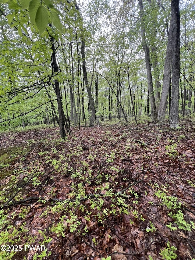 259 Florence Trl, Hawley, PA 18428 - view of wooded area