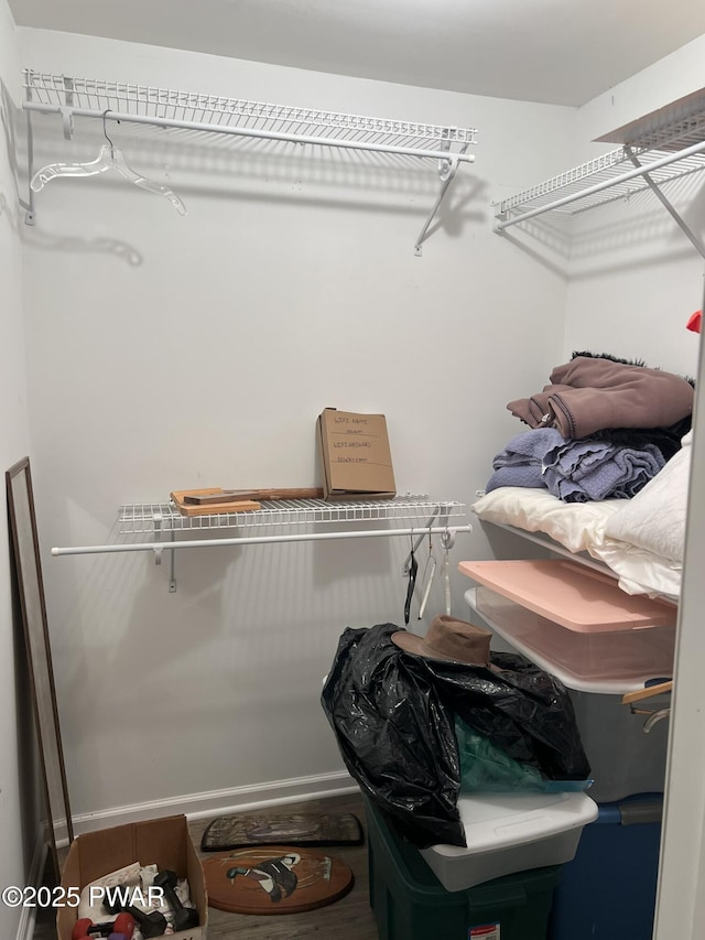 259 Florence Trl, Hawley, PA 18428 - view of walk in closet
