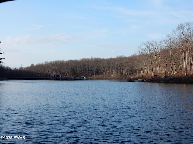 259 Florence Trl, Hawley, PA 18428 - water view featuring a forest