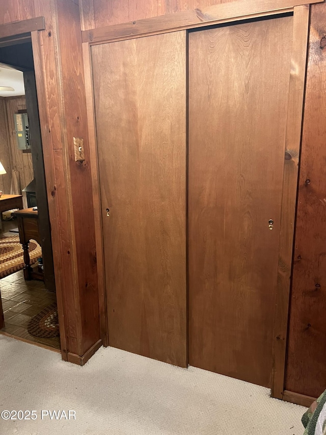259 Florence Trl, Hawley, PA 18428 - detailed view of carpet, wood walls, and electric panel