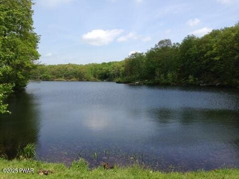 259 Florence Trl, Hawley, PA 18428 - water view featuring a heavily wooded area