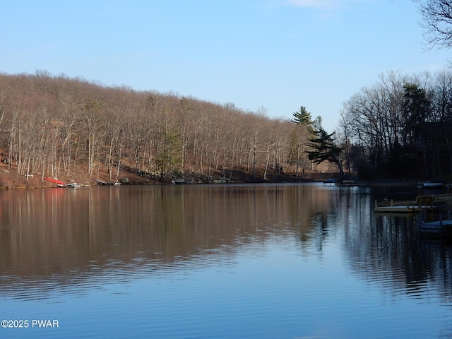 259 Florence Trl, Hawley, PA 18428 - water view with a heavily wooded area