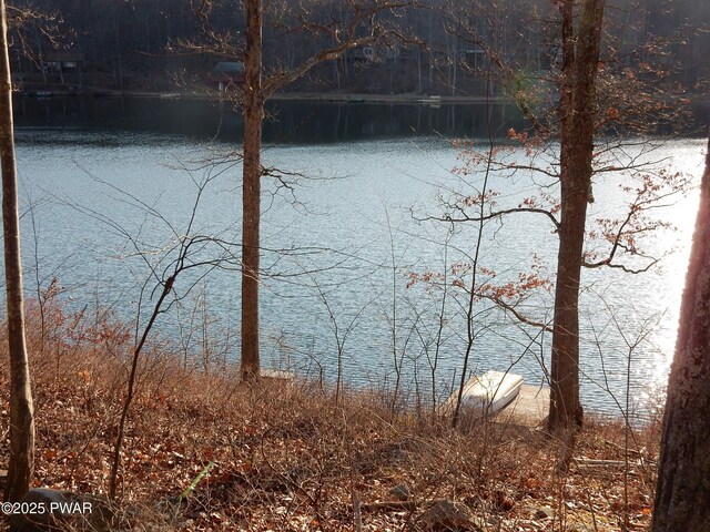 259 Florence Trl, Hawley, PA 18428 - water view
