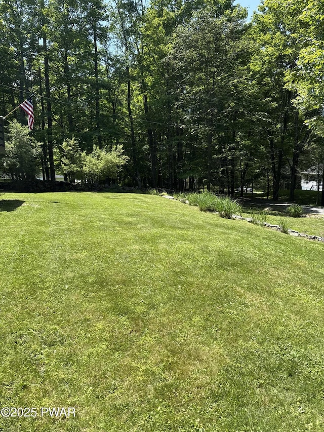 110 Tranquility Ln, Greentown, PA 18426 - view of green lawn