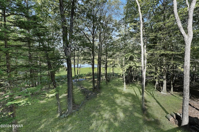 view of local wilderness with a water view