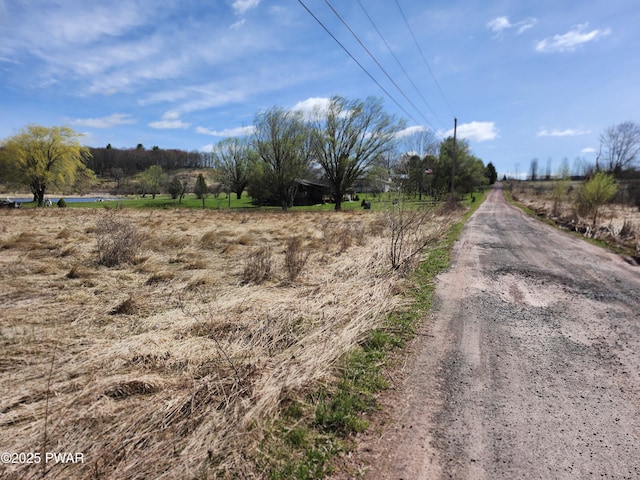 Slater Rd, Beach Lake, PA 18405