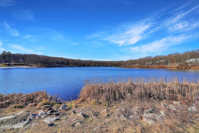 property view of water